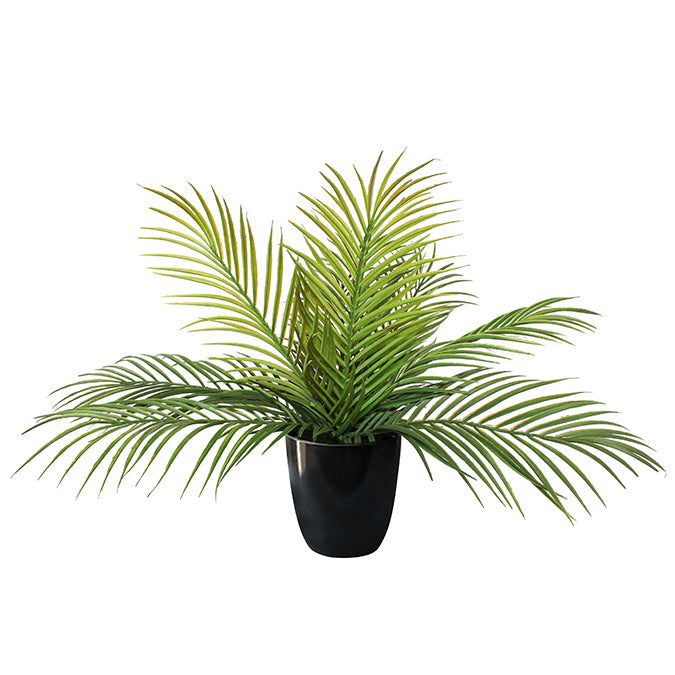 POTTED PALM LEAVES – GREEN