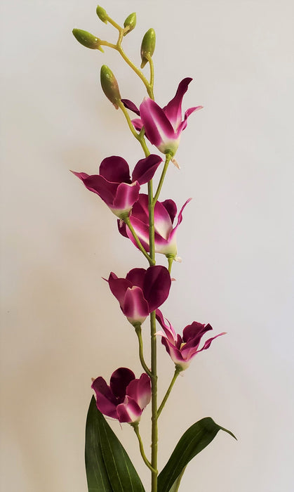 27" Purple Orchid