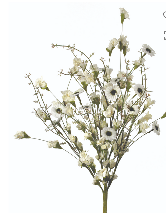 24″ DAISY/THISTLE BUSH – CREAM