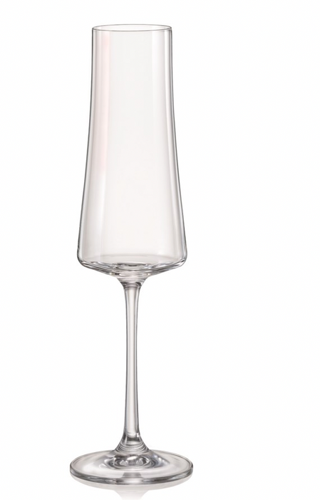 Xtra Champagne Flute set/6