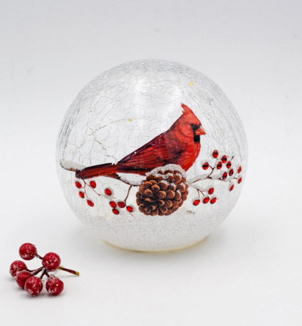 Cardinal on a Branch in an LED Globe
