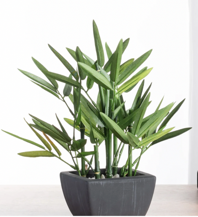 Bamboo 10h" Faux
