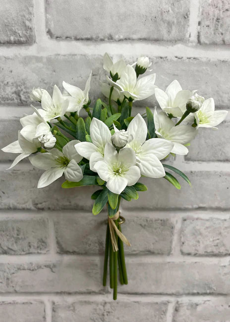11.5" Balloon Flower