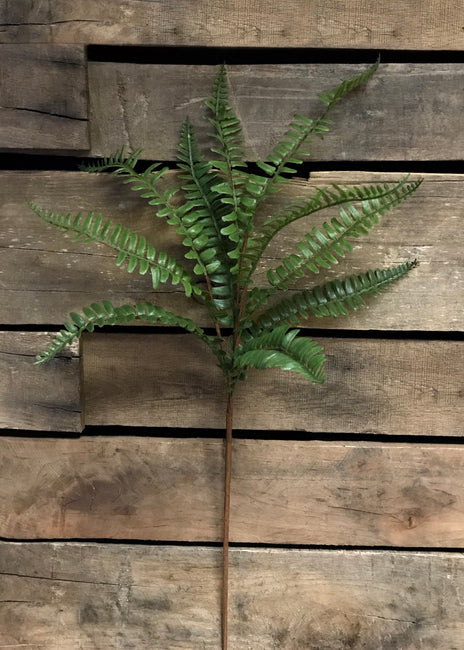 26" Fern Spray