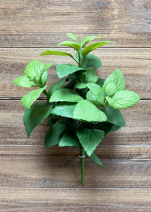 12" Mint Leaf Bush