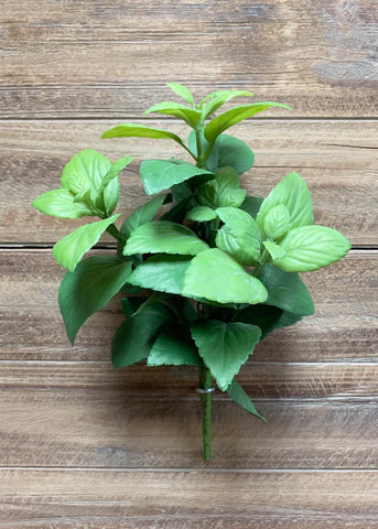 12" Mint Leaf Bush