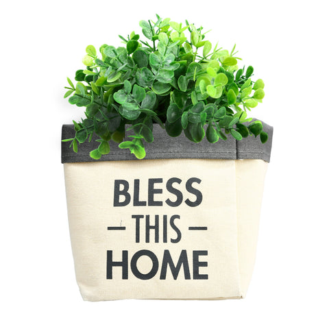 Bless this Home- Plant