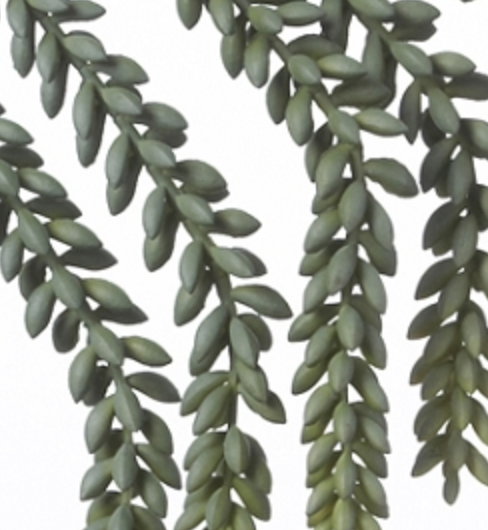 25" Hanging Sedum Spray