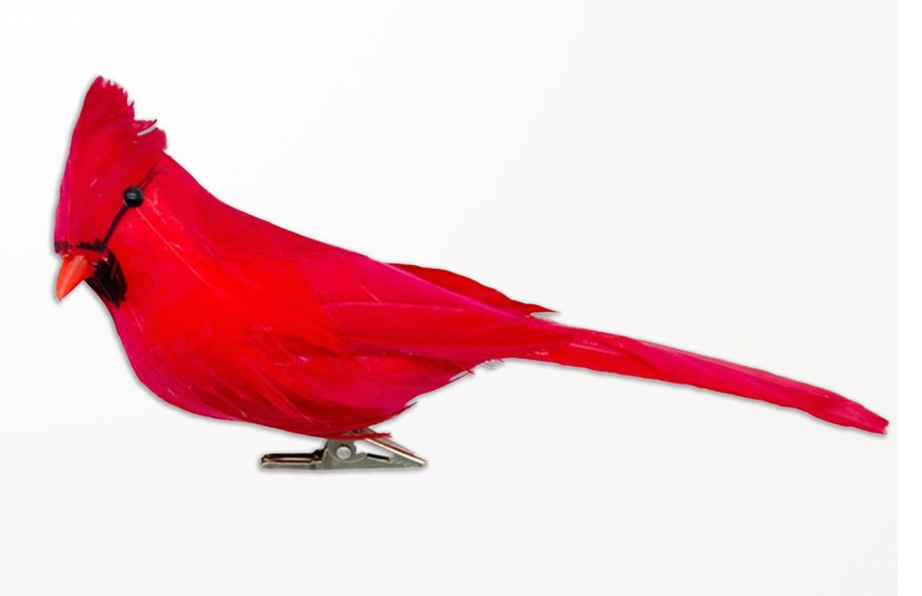 6" Clip-On Cardinal