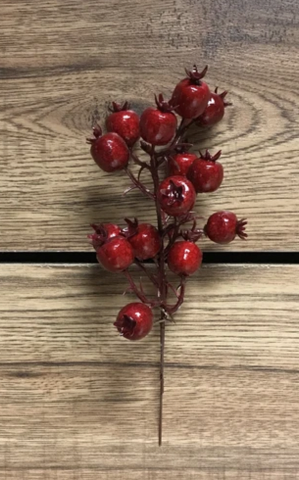 8' Outdoor Cranberry Pick Red