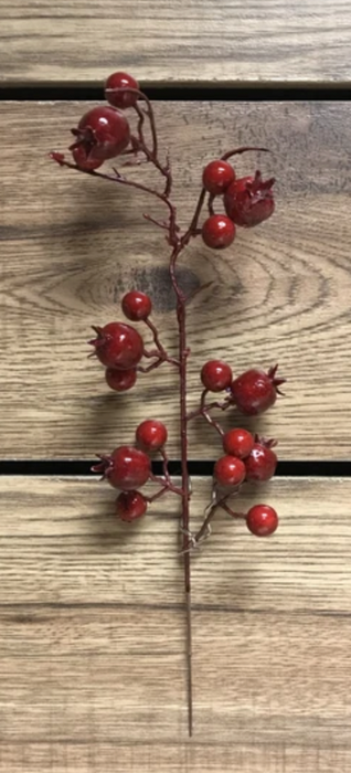 11" Outdoor RED Berry Pick