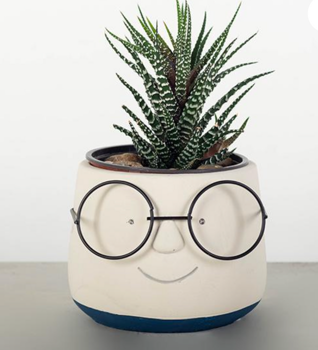 Cement Flower Pot with Face