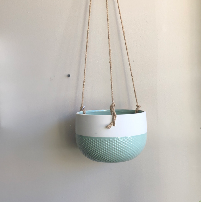 Hanging planter with beige pot